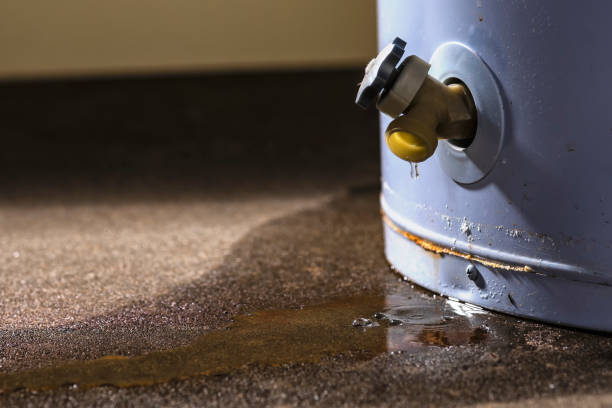 Best Professional water damage repair  in Knoxvle, IL