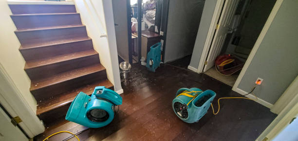 Best Water damage cleanup near me  in Knoxvle, IL