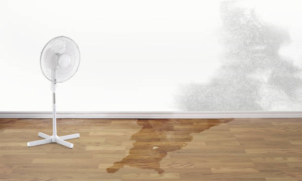 Best Fire Damage Restoration  in Knoxvle, IL