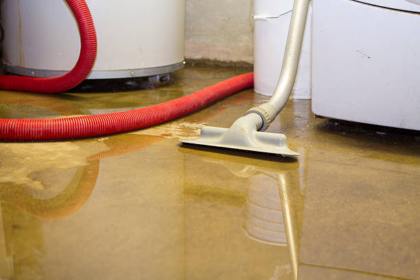 Sewage cleanup and water damage restoration in IL