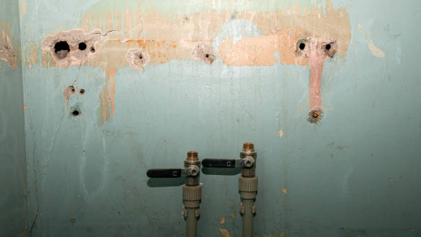 Best Basement water damage restoration  in Knoxvle, IL