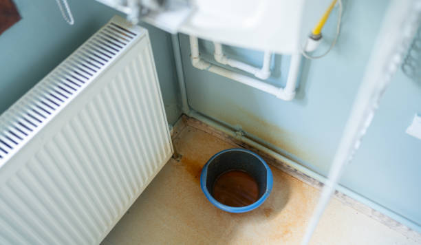 Best Flood restoration services  in Knoxvle, IL